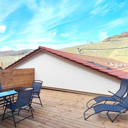Vue Splendide Au Coeur Des Vignes Apartment Bergheim Exterior foto
