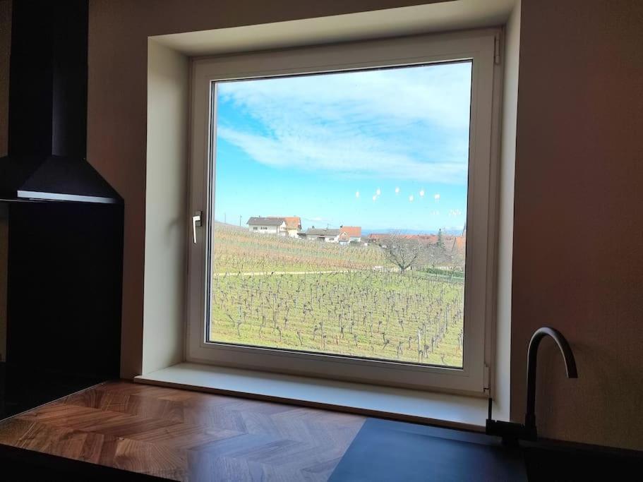 Vue Splendide Au Coeur Des Vignes Apartment Bergheim Exterior foto