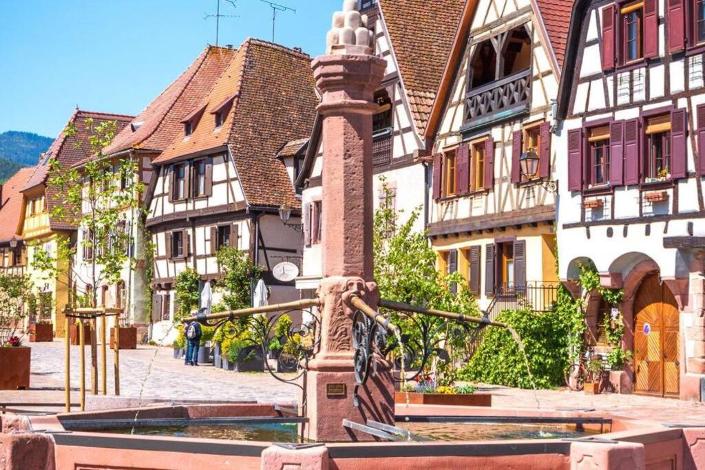 Vue Splendide Au Coeur Des Vignes Apartment Bergheim Exterior foto